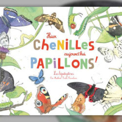 Eric Mathivet, Hier chenilles, aujourd’hui papillons