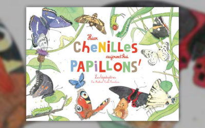 Eric Mathivet, Hier chenilles, aujourd’hui papillons !