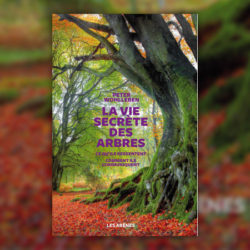 Peter Wohlleben La Vie secrete des arbres