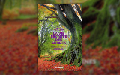 Peter Wohlleben, La Vie secrète des arbres