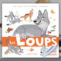 Anne Jonas, Les Loups
