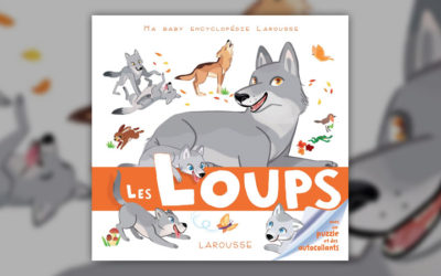 Anne Jonas, Les Loups
