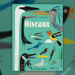 oiseaux mango