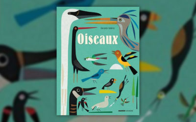 Geraldo Valério, Oiseaux