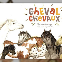 Capucine-Mazille,-Un-cheval,-des-chevaux