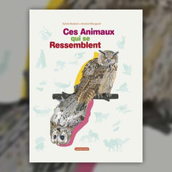 Ces-animaux-qui-se-ressemblent
