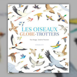 Fleur-Daugey,-Les-Oiseaux-globe-trotters