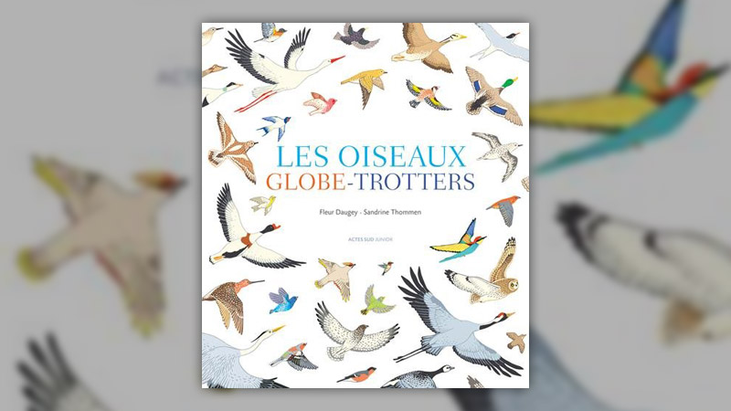 Fleur-Daugey,-Les-Oiseaux-globe-trotters