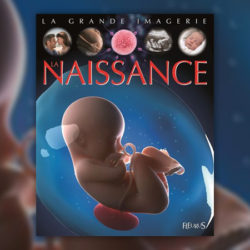 La-grande-imagerie-la-naissance