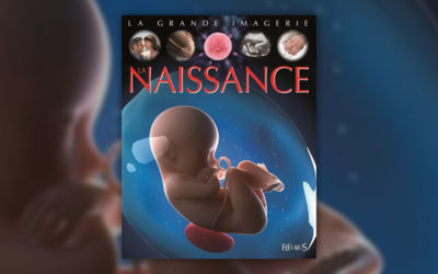 Sylvie Deraime, La Naissance