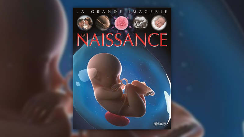 La-grande-imagerie-la-naissance