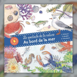 Tchoukriel,-Au-bord-de-la-mer,-