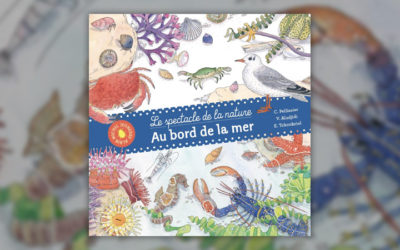 V. Aladjidi, C. Pellissier et E. Tchoukriel, Au bord de la mer