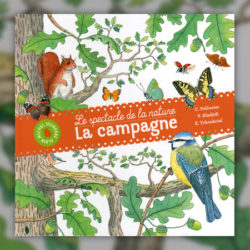 Tchoukriel-campagne