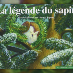 Thierry-Chapeau,-La-legende-du-Sapin