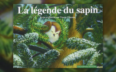 Thierry Chapeau, La légende du sapin