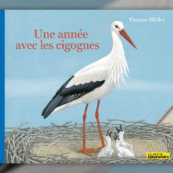Thomas-Muller,-Une-annee-avec-les-cigognes