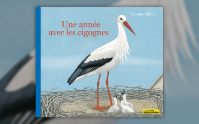 Thomas Müller, Une année avec les cigognes