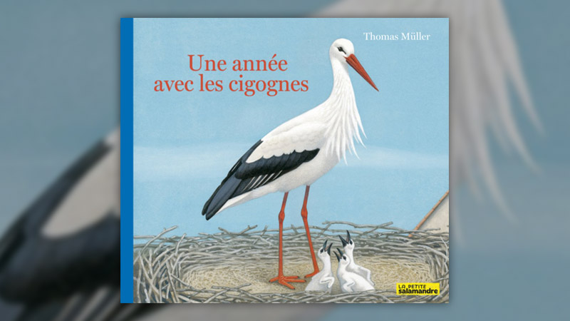 Thomas-Muller,-Une-annee-avec-les-cigognes