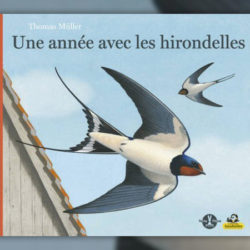 Thomas-Muller,-Une-annee-avec-les-hirondelles