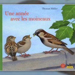 Thomas-Muller,-Une-annee-avec-les-moineaux