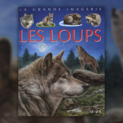 beaumont-les-loups-fleurus
