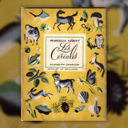 Marcelle-verite-cereales