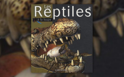 Mark Hutchinson, Les reptiles