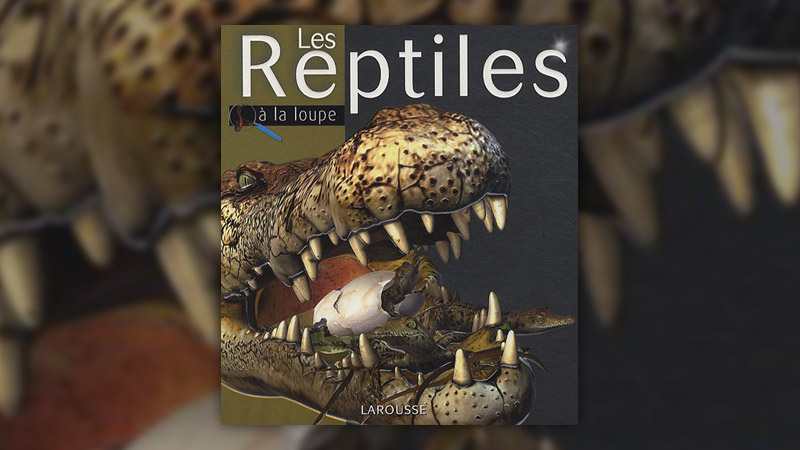 Mark Hutchinson, Les reptiles