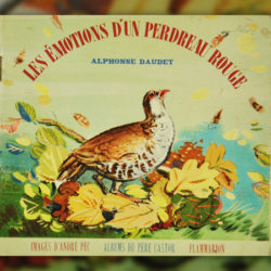 Alphonse-Daudet,--perdreau-rouge