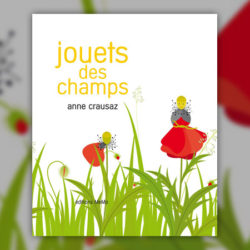 Anne-Crausaz,-Jouets-des-champs