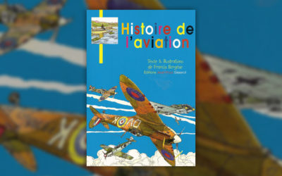 Francis Bergèse, Histoire de l’aviation