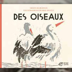 Buffon,-Des-Oiseaux-angeli