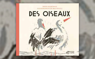 Buffon, Des Oiseaux