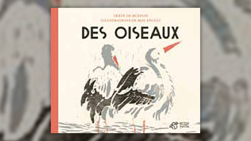 Buffon,-Des-Oiseaux-angeli