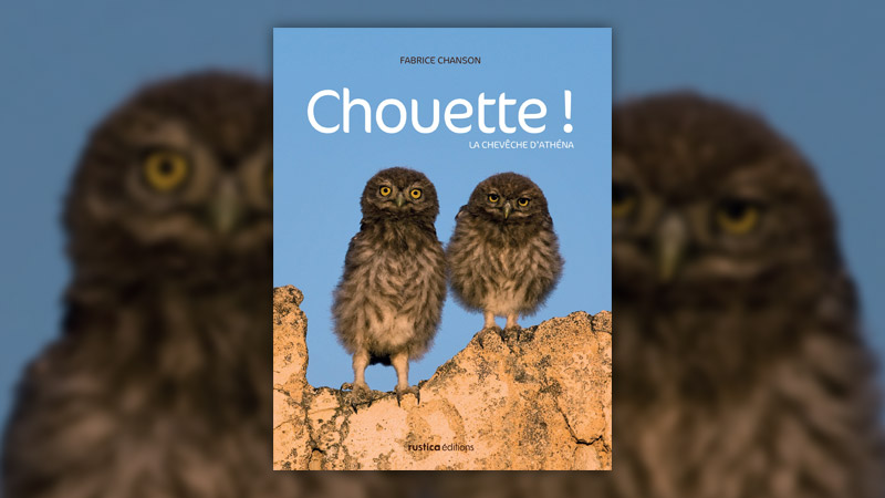 Chanson,-Chouette-Athena