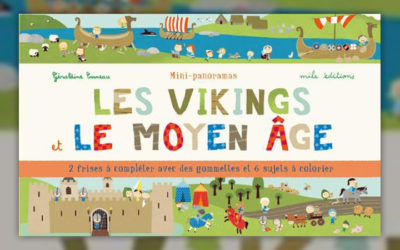 Géraldine Cosneau, Les Vikings et le Moyen Age, mini-panorama