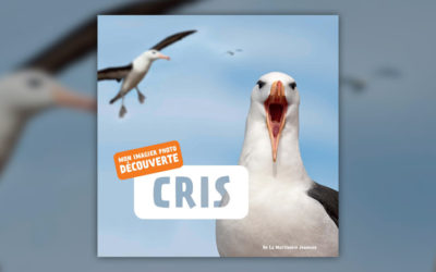 De La Martinière, Cris