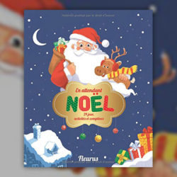 En-attendant-Noel-24-jeux-Fleurus