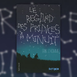 Erik-LHomme,-Le-regard-des-princes--minuit