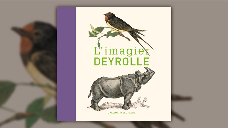 Imagier-Deyrolle