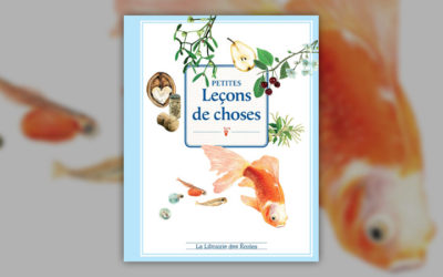 Jean-Pierre Picandet, Petites leçons de choses