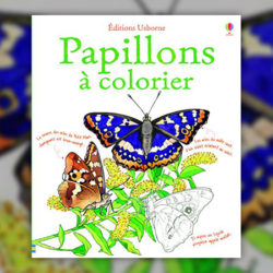 Jenny-Cooper,-Papillons-colorier