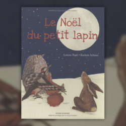 Kathrin-Scharer,-Le-Noel-du-petit-lapin-