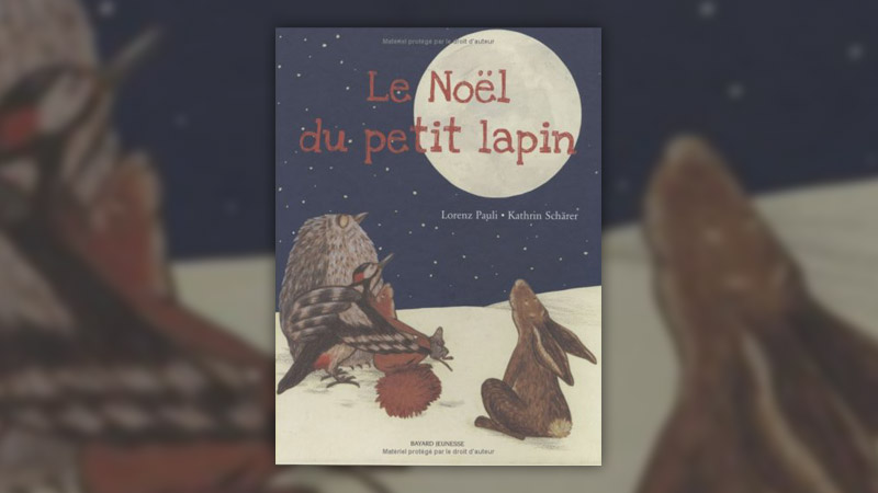 Kathrin-Scharer,-Le-Noel-du-petit-lapin-