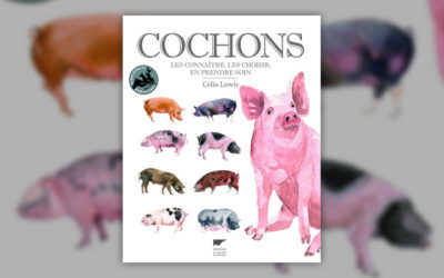Célia Lewis, Cochons, les connaître, les choisir, en prendre soin