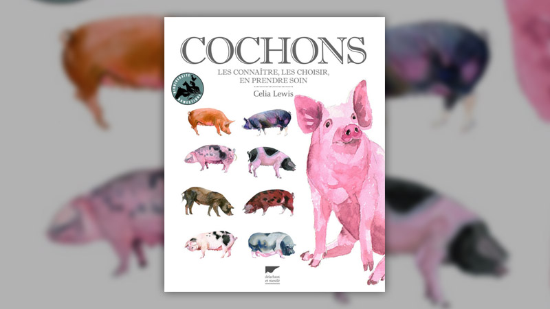 Célia Lewis, Cochons, les connaître, les choisir, en prendre soin