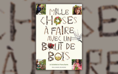 Fiona Danks et Jo Schofield, Mille choses à faire avec un bout de bois