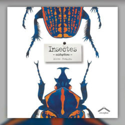 Steve-Jenkins,-Insectes