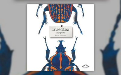 Steve Jenkins, Insectes – Coléoptères